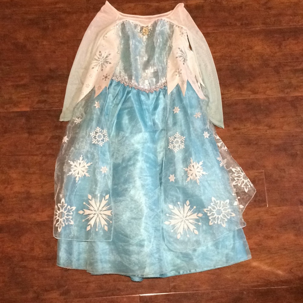 Disney Elsa Dress/Costume